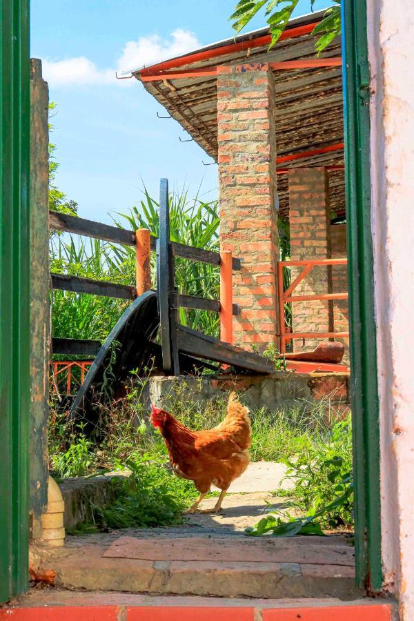 La Hacienda Hostel ซานกิล ภายนอก รูปภาพ