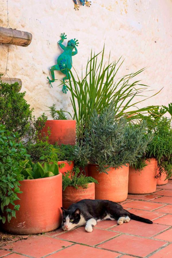 La Hacienda Hostel ซานกิล ภายนอก รูปภาพ